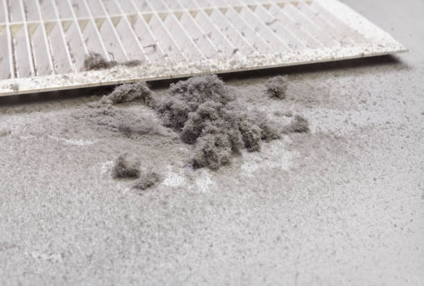 Best Duct Cleaning for Offices  in Kilauea, HI