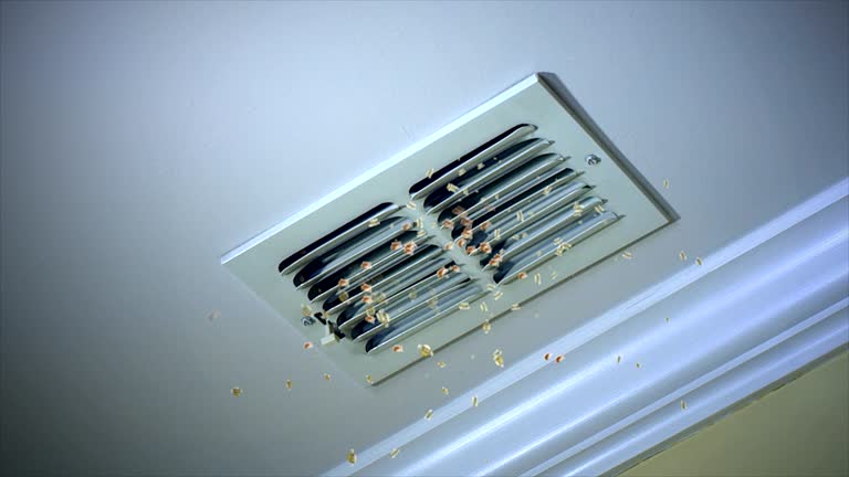 Best Affordable Duct Cleaning Services  in Kilauea, HI