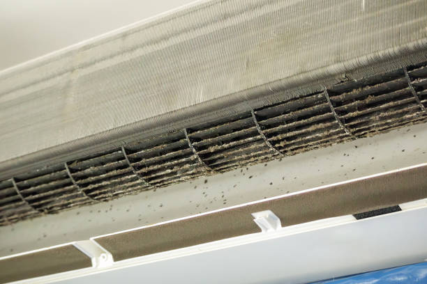 Best HVAC Air Duct Cleaning  in Kilauea, HI
