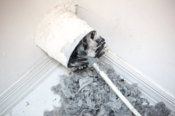 Best HVAC System Cleaning  in Kilauea, HI